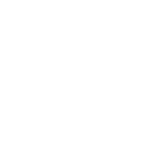 lightning fast performanceg